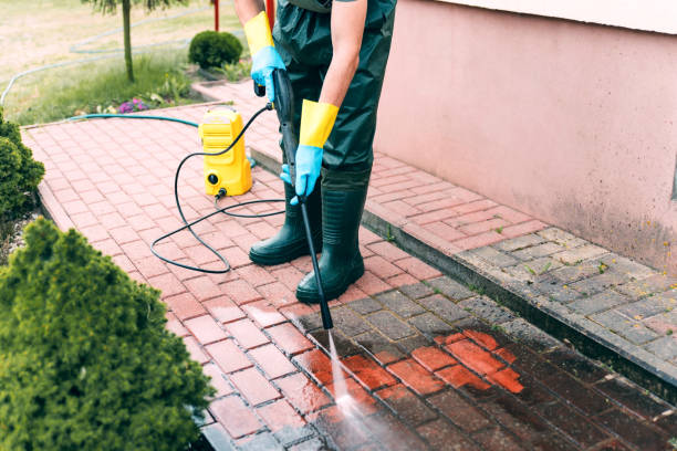 Best Factory Floor Cleaning  in Angustura, NM