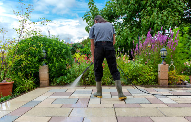 Best Patio and Deck Pressure Washing  in Angustura, NM